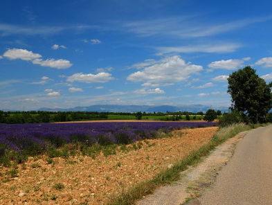 Zomercolumn: voet van het gas op Franse binnenwegen