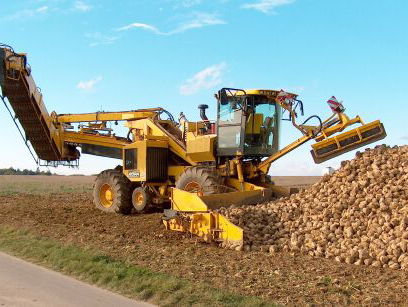 Suikerbieten kun je eigenlijk overal voor gebruiken