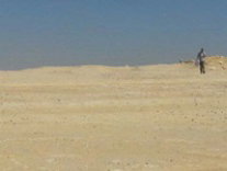 Saaiste game: Desert Bus