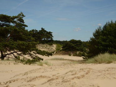 Zomerproject: Neem zand mee!