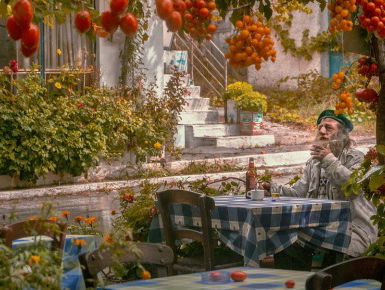 Zomercolumn Shereen El Sherbini - Het thuisgevoel van de Grieken