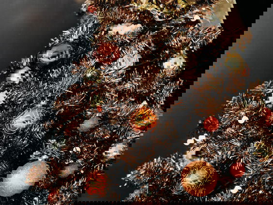 Hoe zorg je voor een duurzame kerst(boom)?