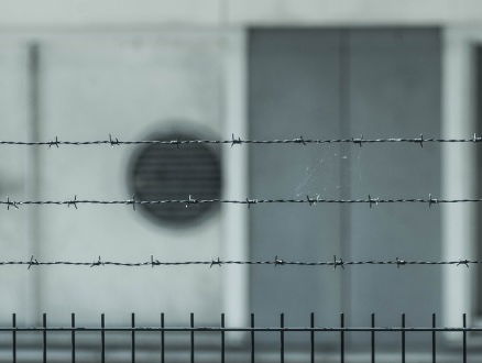 Op boevenjacht in je familiestamboom