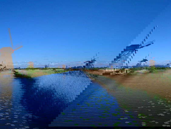 Dichten uit het Zuid-Hollandse hart