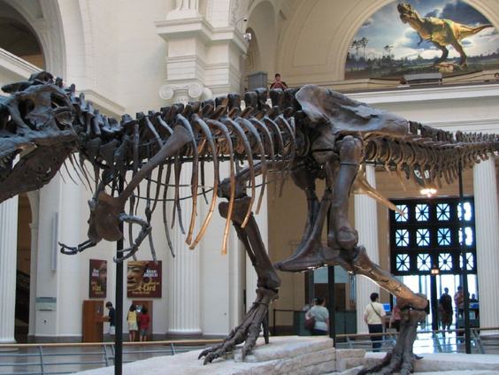 T-Rex in het nieuws!