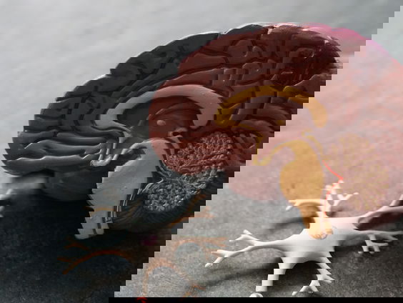 Wat gebeurt er bij epilepsie?