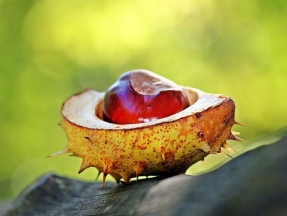 Martine Dubois geniet volop van de herfst