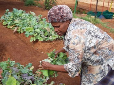 Ontwikkelingswerk anno 2019