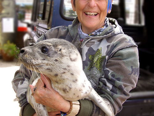 Lenie 't Hart over de bescherming van zeehonden
