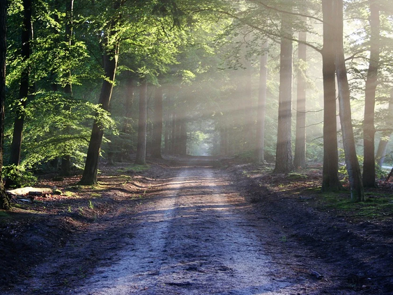 Zoek de stilte, vind de ruimte