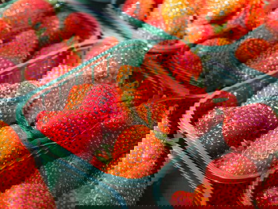 De aarbei is populairder dan ooit