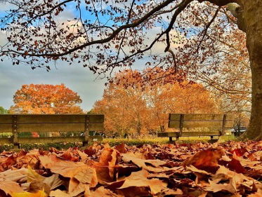 Dagsluiter Ds. Baardmans