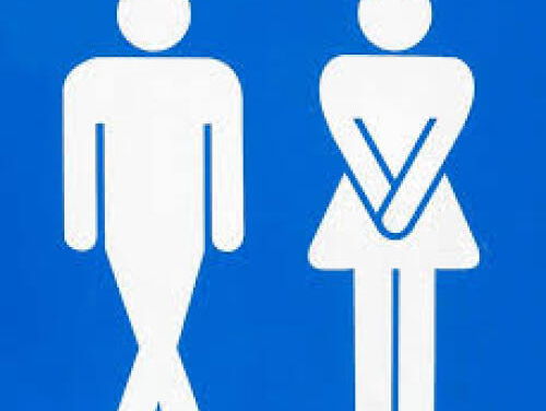 Nationale Plasdag - HogeNood app