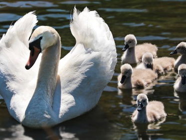Kees van Velzen over zijn ontroering op zondagmorgen