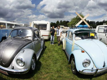 De mooiste Kevers van Noord-Holland