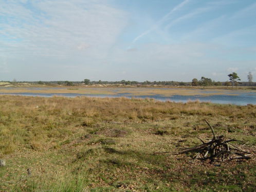 Digitaal wandelen in Appelscha