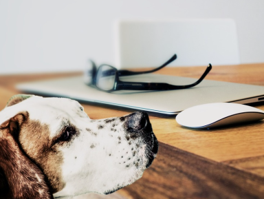 Brenda Mandjes uit IJmuiden sluit de dag af op Radio 5.