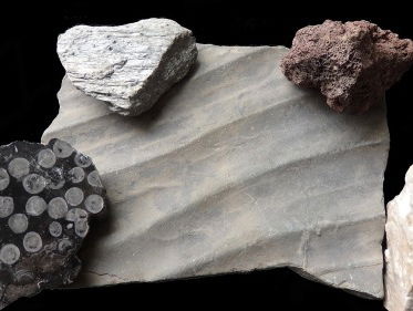 Bioloog en geoloog Tom Zoutewelle over gesteenten uit de aardkorst