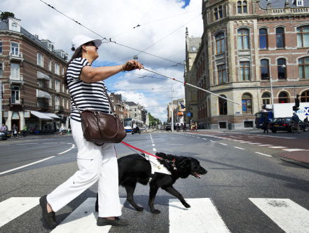 Internationale dag van de witte stok