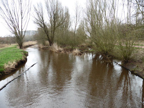 "Anders lopen de dieren tegen de snelweg aan...en dat is niet goed."
