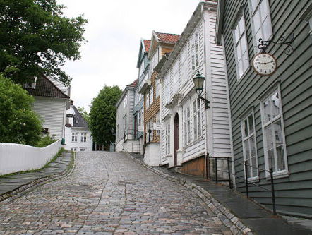 Bert op reis: het Noorse Bergen