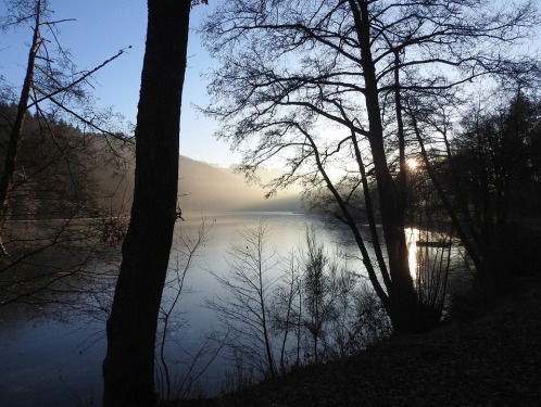 Dagsluiter - Willem van Gool