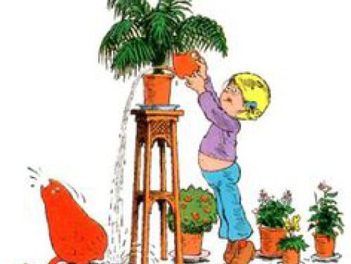 1982: Catootje over Jan, Jans en de Kinderen.