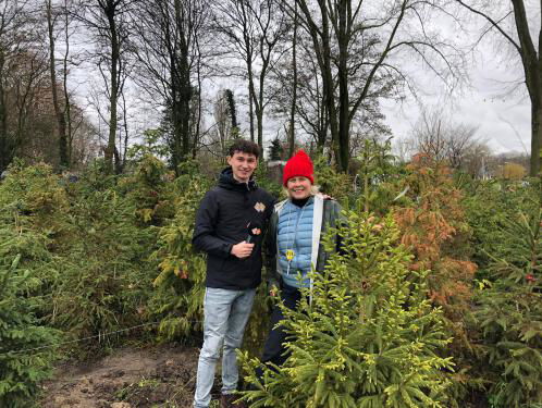 Je eigen kerstboom uitkiezen in het Amsterdamse kerstbomenbos