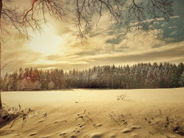 Dagsluiter Bettelies Westerbeek