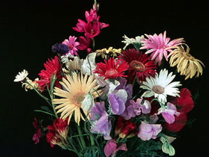 Nieuw in 1967: TV in kleur!