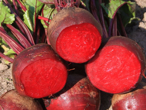 De man met de grootste biet