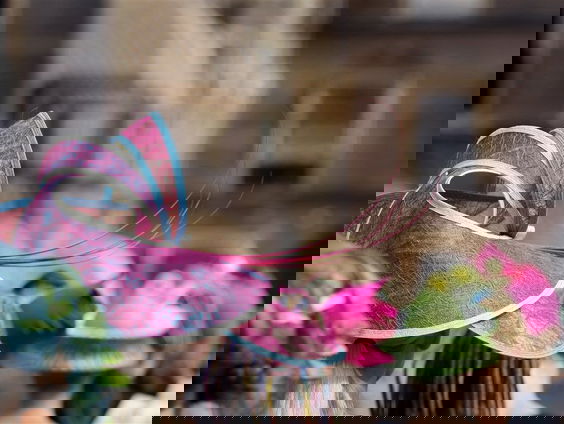 Hoedenontwerpster Berry Rutjes over de hoedjesparade van Prinsjesdag