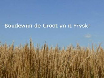 CD Boudewijn de Groot ‘Yn it Frysk’ - Cees de Wolff