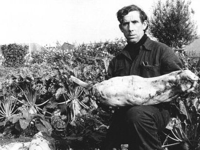 BiKo (berichtje) over: