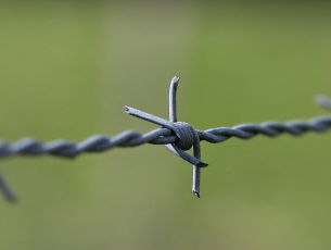 Soms heb je prikkeldraad nodig