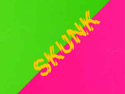 Liefde Voor Muziek - Plaatwaarde: Skunk - Doe Maar