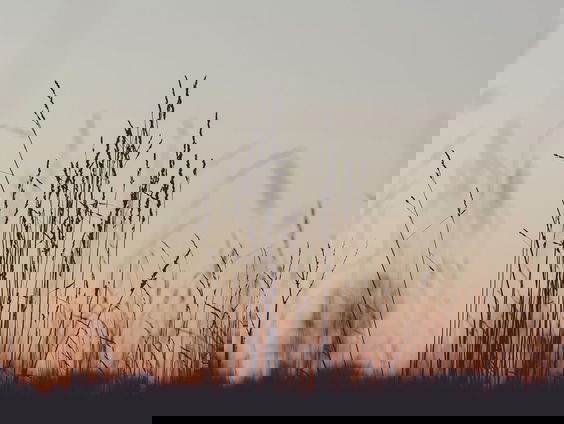 Het ritme van de stilte