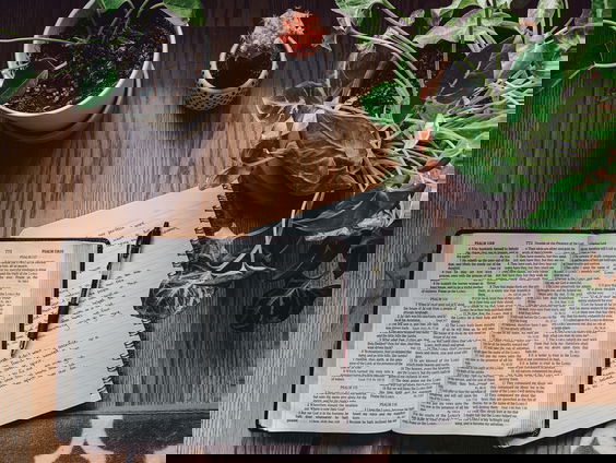 Dat ouderwetse boek, dat toch niet zo ouderwets blijkt...