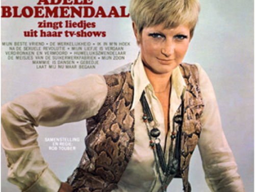 Het rare van leven en dood - Adèle Bloemendaal