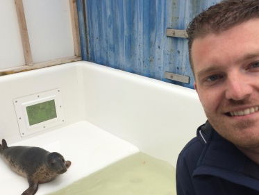 Thuis in Groningen: Zeehondjes knuffelen in Pieterburen