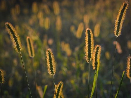 "Ik vraag je om dichtbij, verantwoordelijk en beschikbaar te zijn"
