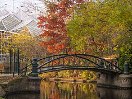 Wat Een Vak: botanicus