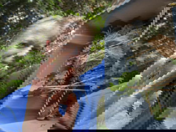 Sjoert Fleurke is De Wespenvriend en is van plan het imago van de wesp te verbeteren