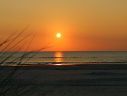 Sluit de week af met Henk Rothuizen