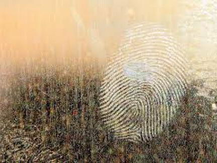 zoektocht Anne Faber