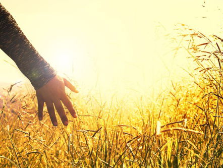 Dagsluiter Jan Willem van der Straten