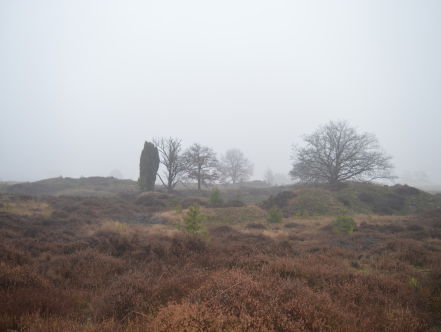 Kootwijkerzand biedt bijzondere belevenissen