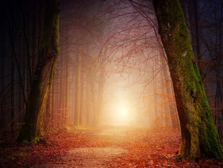 Vertrouwen is belangrijk!