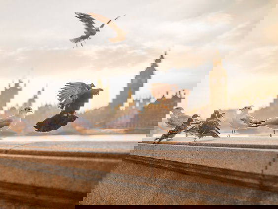 Hoe een naald in Londen belandde