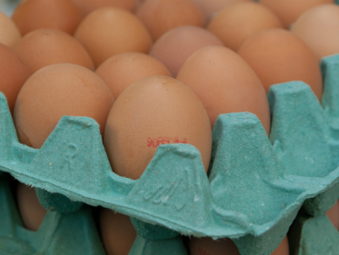 Pas op voor giftige eieren in je koelkast!